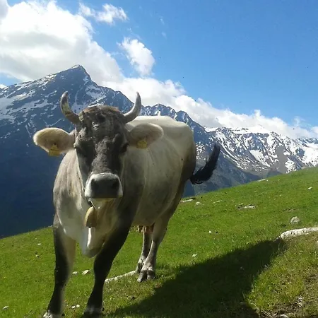 Apartment Landhaus Alpenjager Solden
