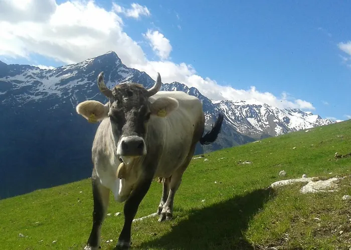 Daire Alpenjaeger Sölden